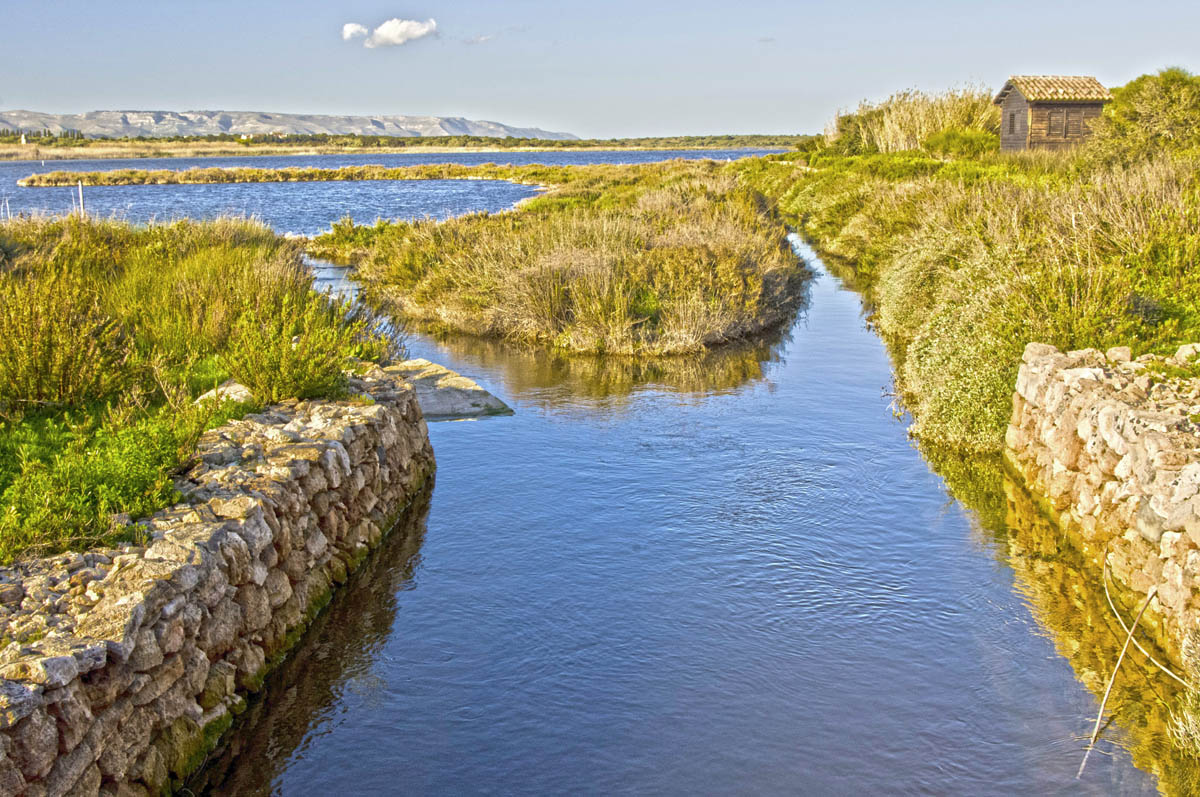 oasi di vendicari ( SR)